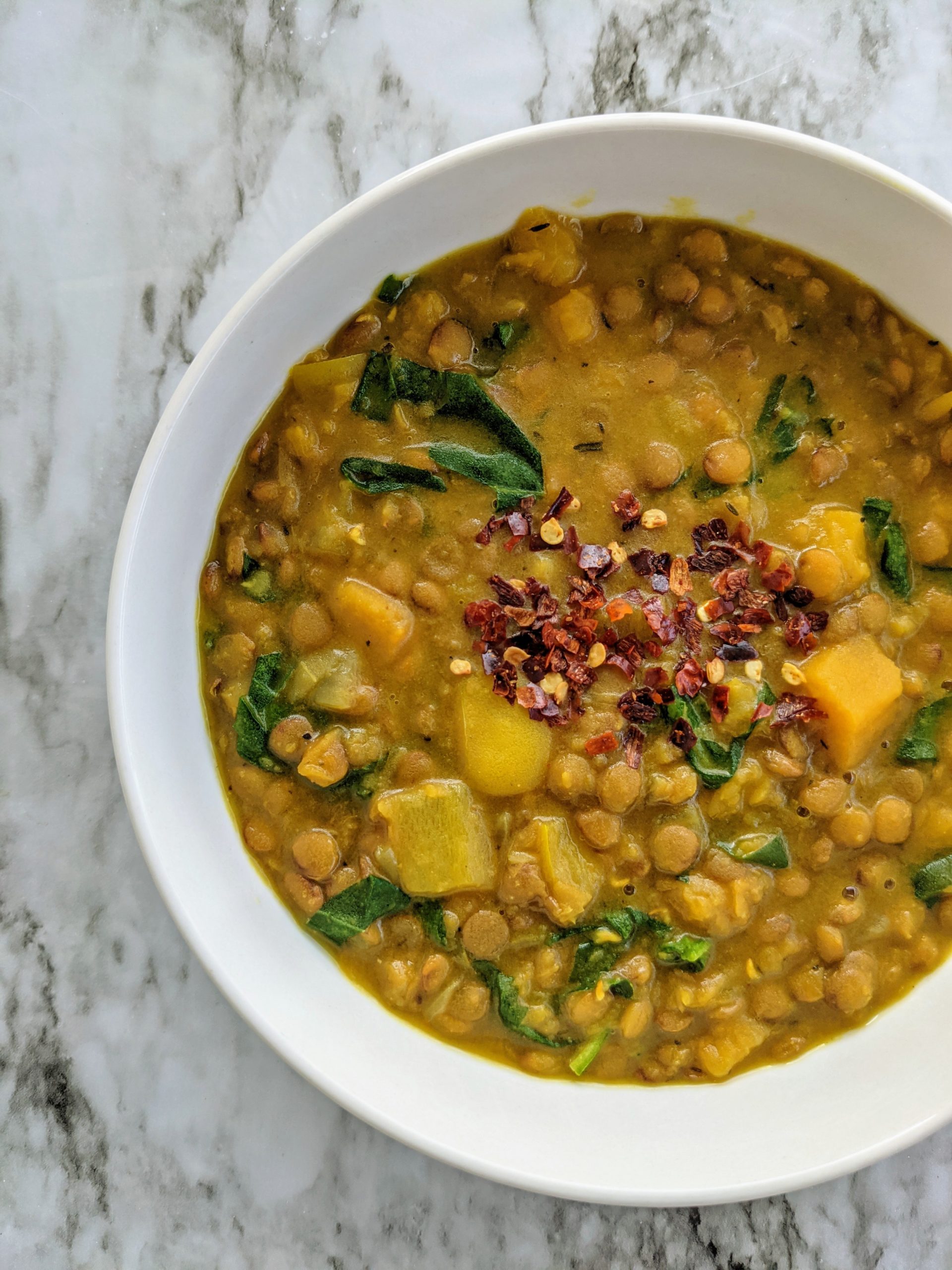 Instant Pot Lentil and Butternut Squash Soup⁠