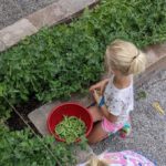 Why Fruits and Vegetables?