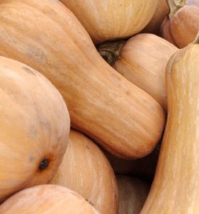 butternut