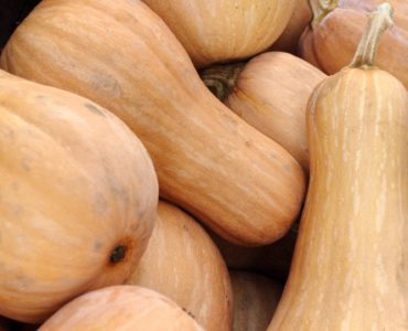 butternut